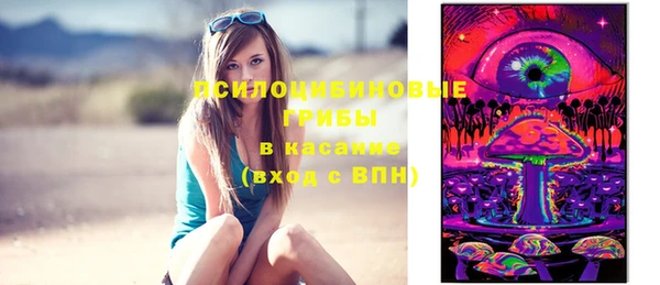крисы Алексин