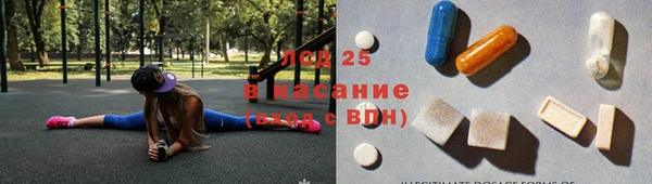 крисы Алексин