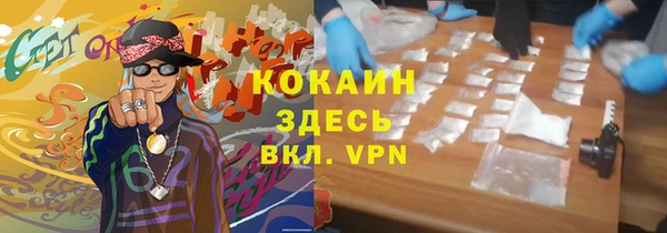 крисы Алексин