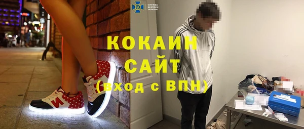 крисы Алексин