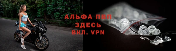 крисы Алексин