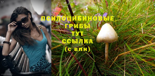 крисы Алексин
