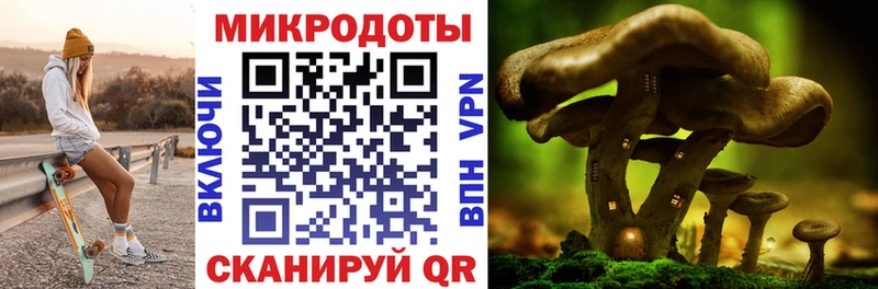 где можно купить   Пущино  Галлюциногенные грибы Magic Shrooms 